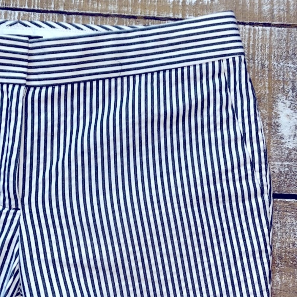 J.Crew Capri Pants | Size 4
